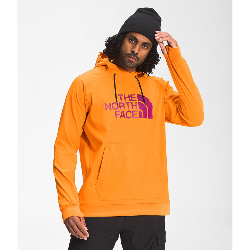 The North Face Hoodie Mens Australia - The North Face Tekno Logo Orange (ACF-798253)